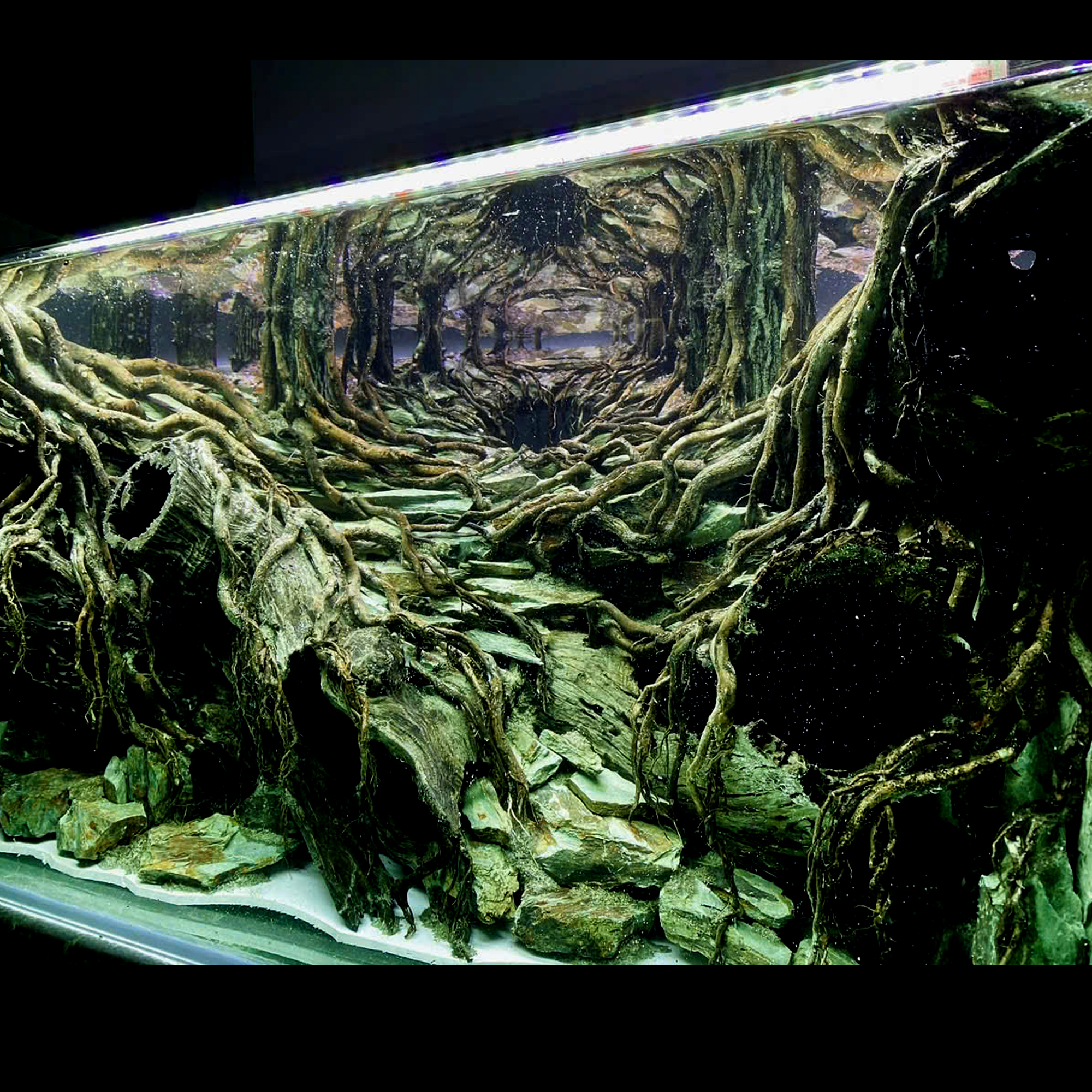 Jungle hardscape Aquarium, cave hardscape - Image 8