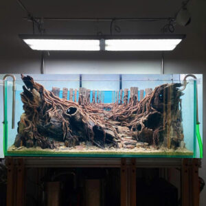 Jungle hardscape Aquarium, cave hardscape