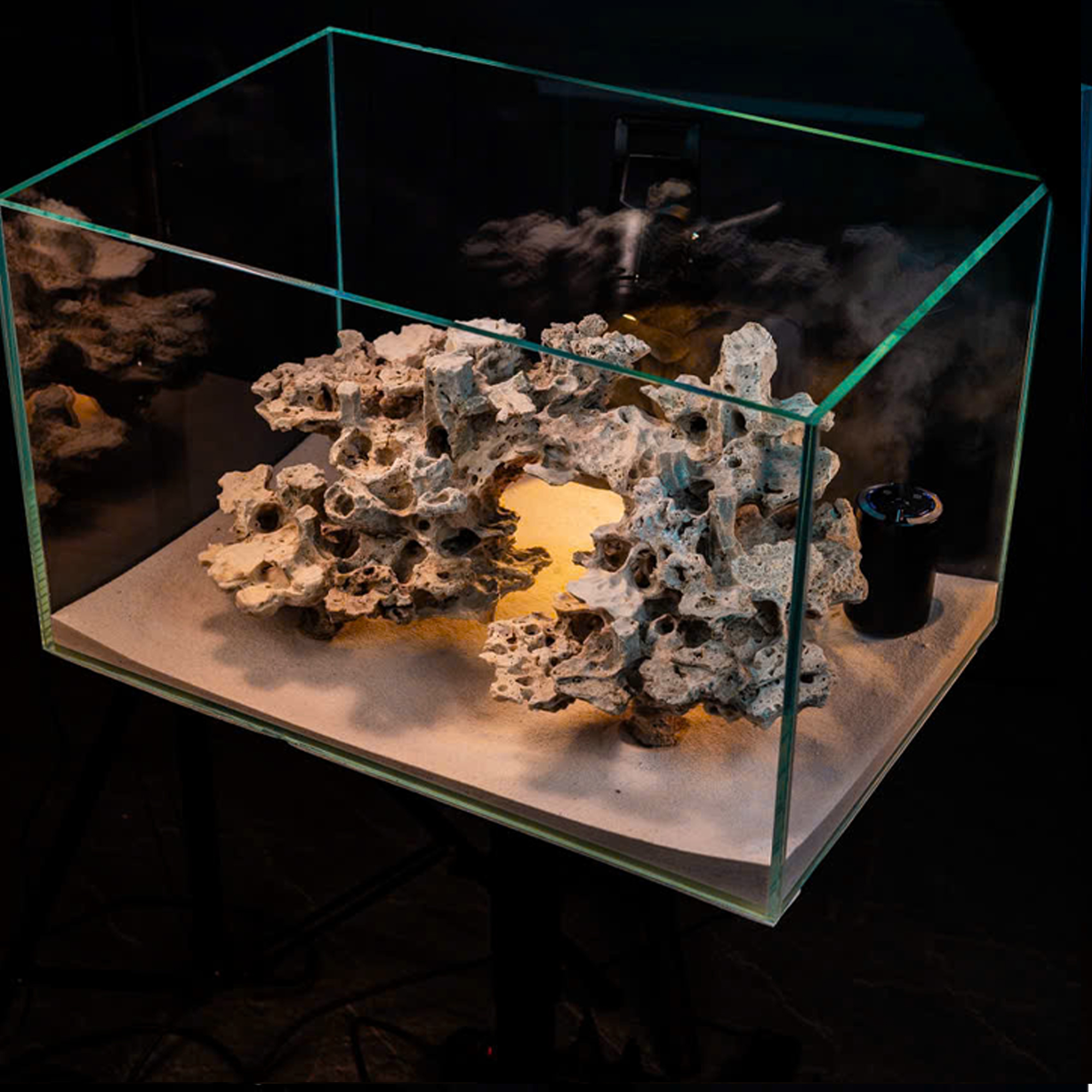 Reef Tank Decor & Custom Coral Stone Aquascapes - Image 6