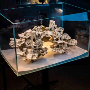 aquascape