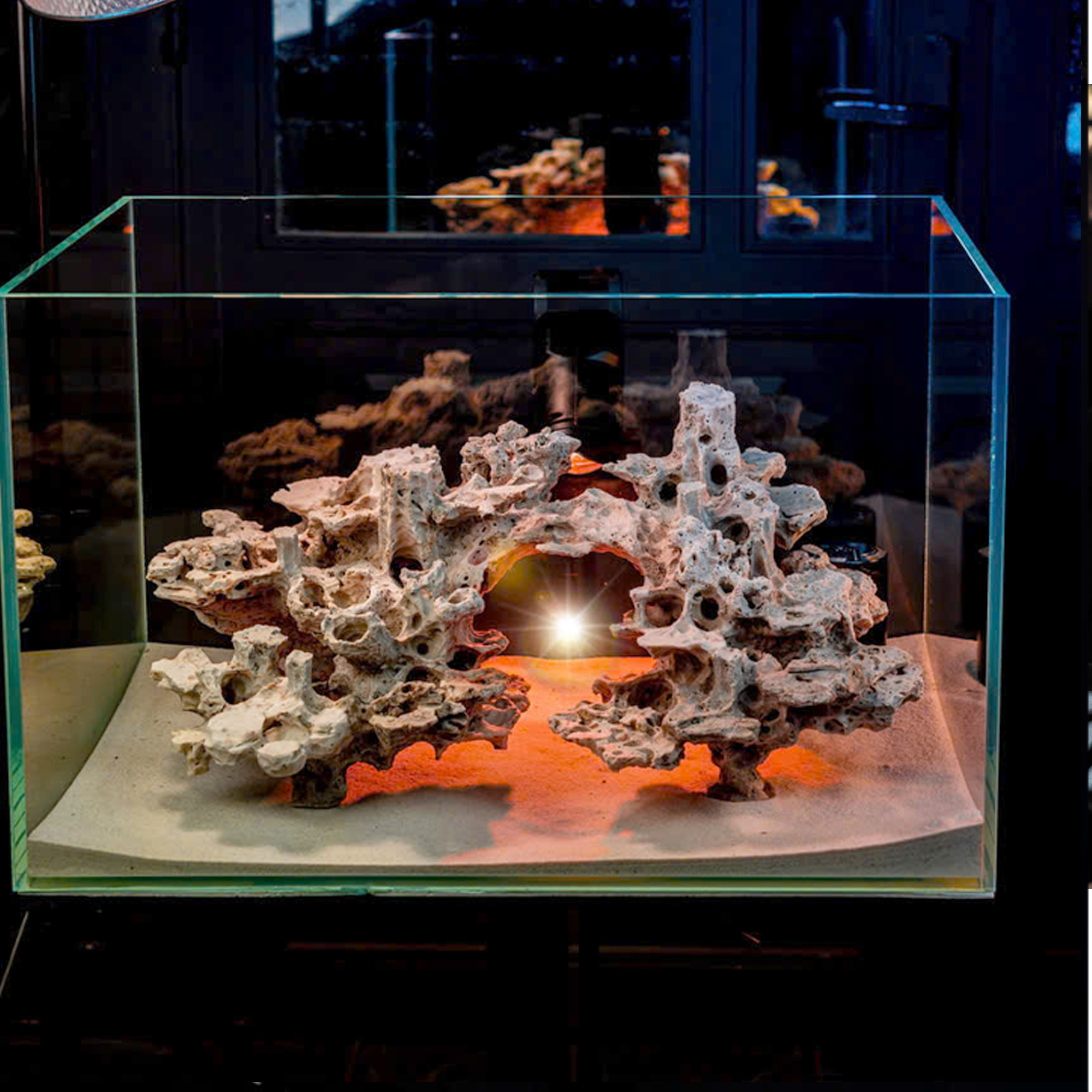 Reef Tank Decor & Custom Coral Stone Aquascapes - Image 5