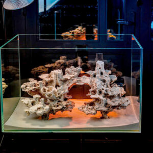 Reef Tank Decor & Custom Coral Stone Aquascapes