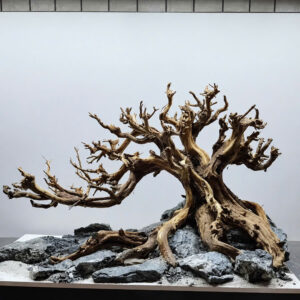 Nature Aquascape aquarium, Terrarium decoration,Vivarium decoration