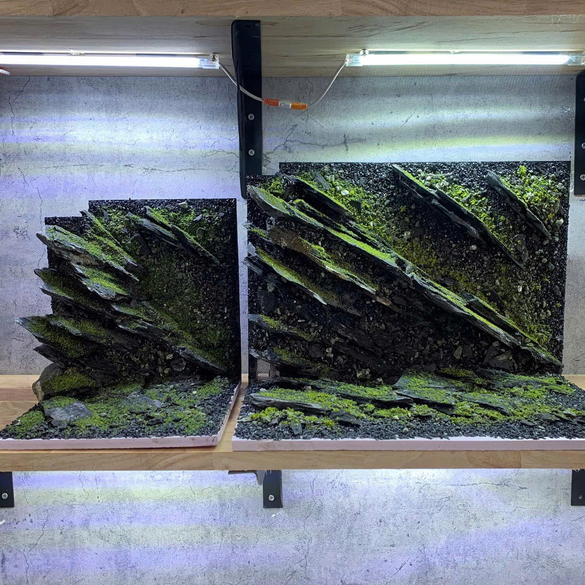 3D aquascape backgroud aquarium decoration - Image 3