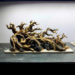 aquascape aquarirum