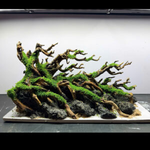Natural hardscape aquarium– Vivarium,Terrarium hardscape