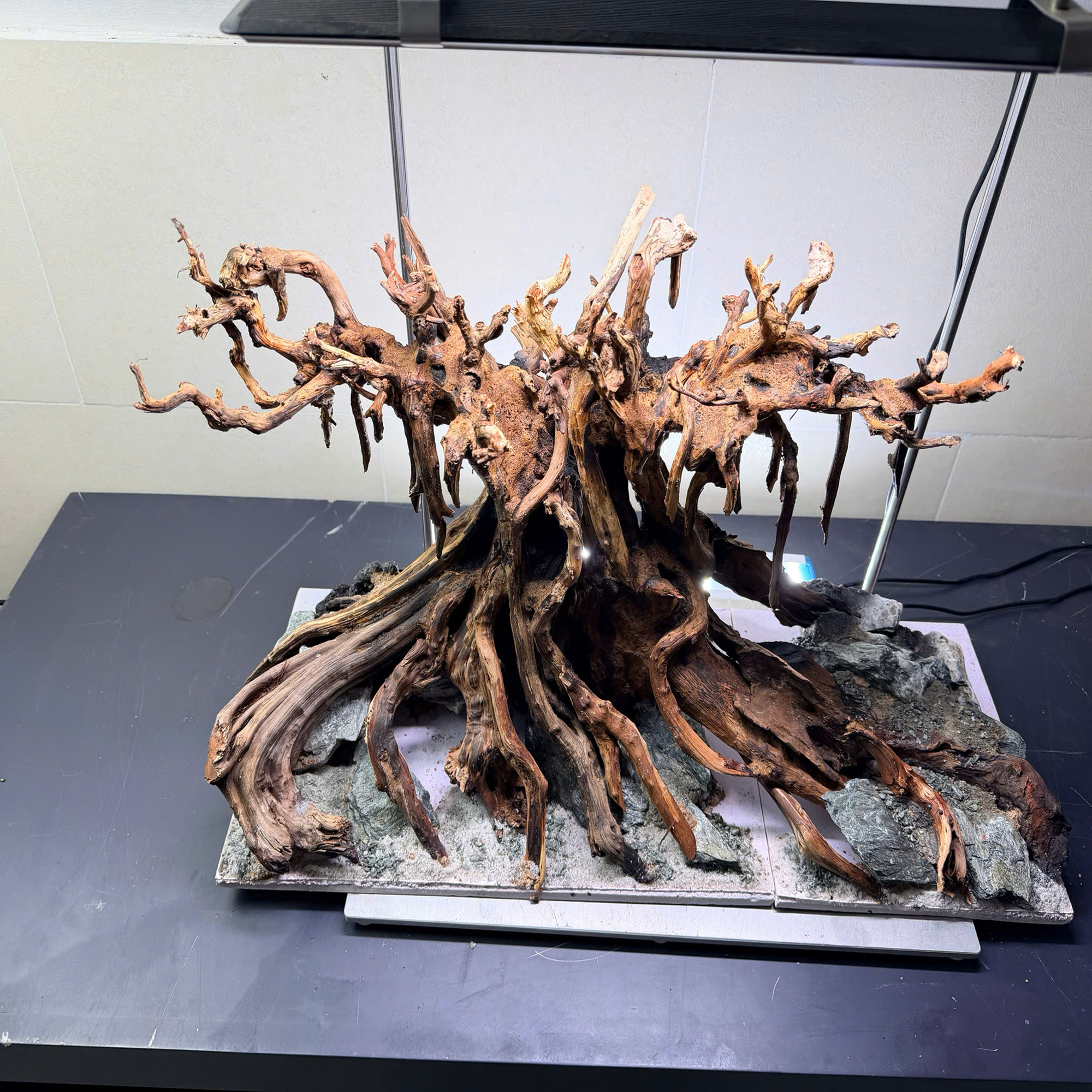 Nature hardscape aquarium, Terrarium decoration,Vivarium decoration - Image 5