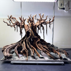 aquarium decor