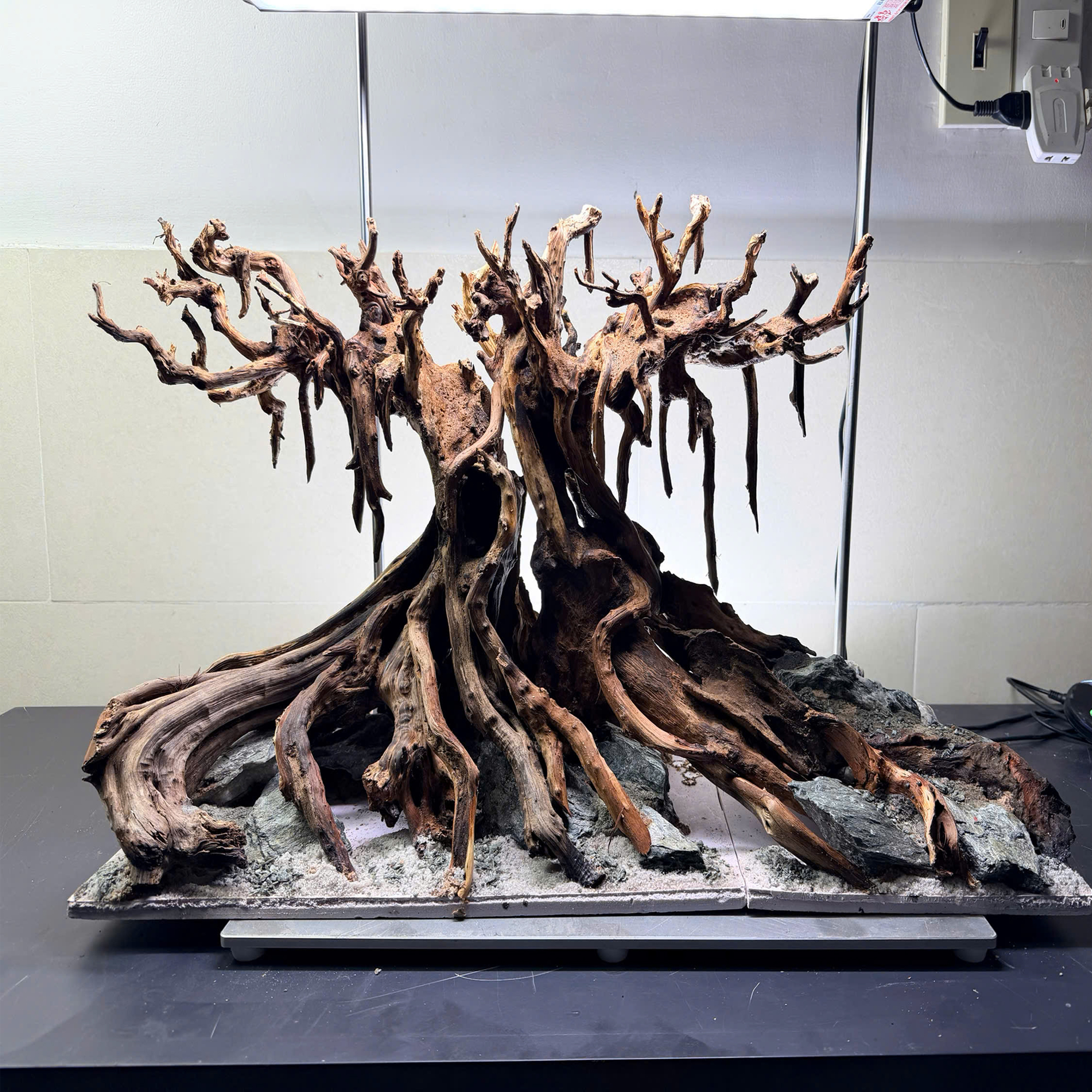 Nature hardscape aquarium, Terrarium decoration,Vivarium decoration - Image 9